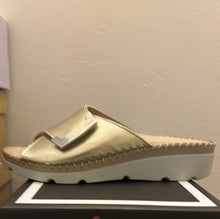 19507 New Agua Shoe