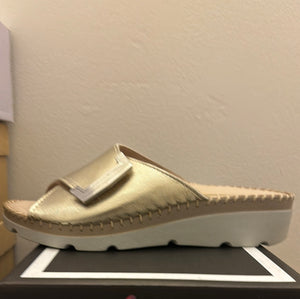 19507 New Agua Shoe