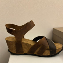 19506 New Olympia Shoe