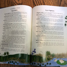 Mamas Bayou, Childrens Book