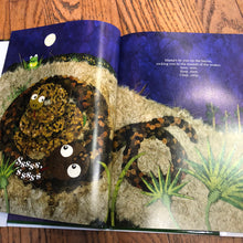 Mamas Bayou, Childrens Book